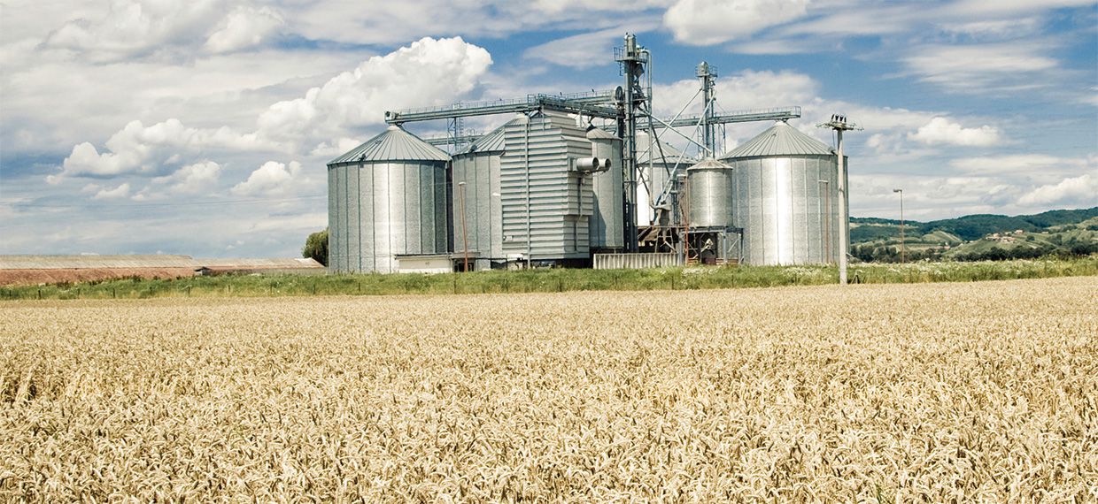 Commercial grain cooling for the best grain quality